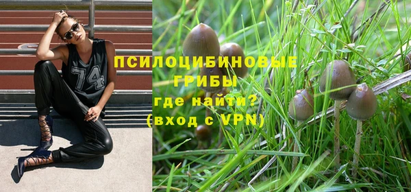 гидра Баксан
