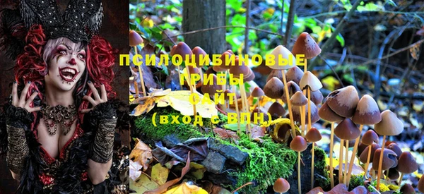 прущая мука Балахна