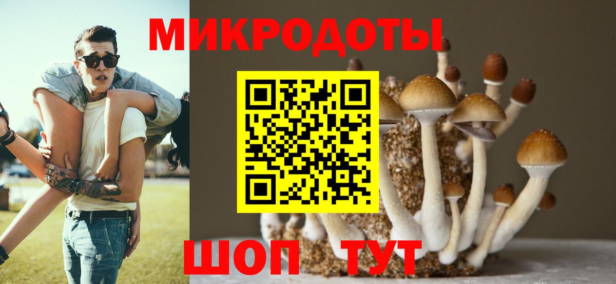 Гатчина  Галлюциногенные грибы прущие грибы  Вход с VPN 